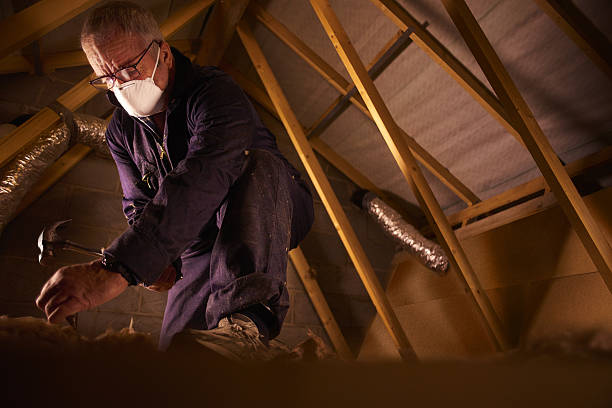 Best Types of Insulation in Homestead Valley, CA