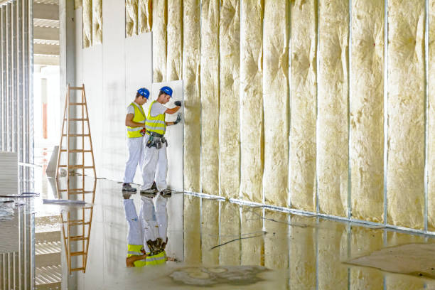 Best Insulation Maintenance and Repair in Homestead Valley, CA